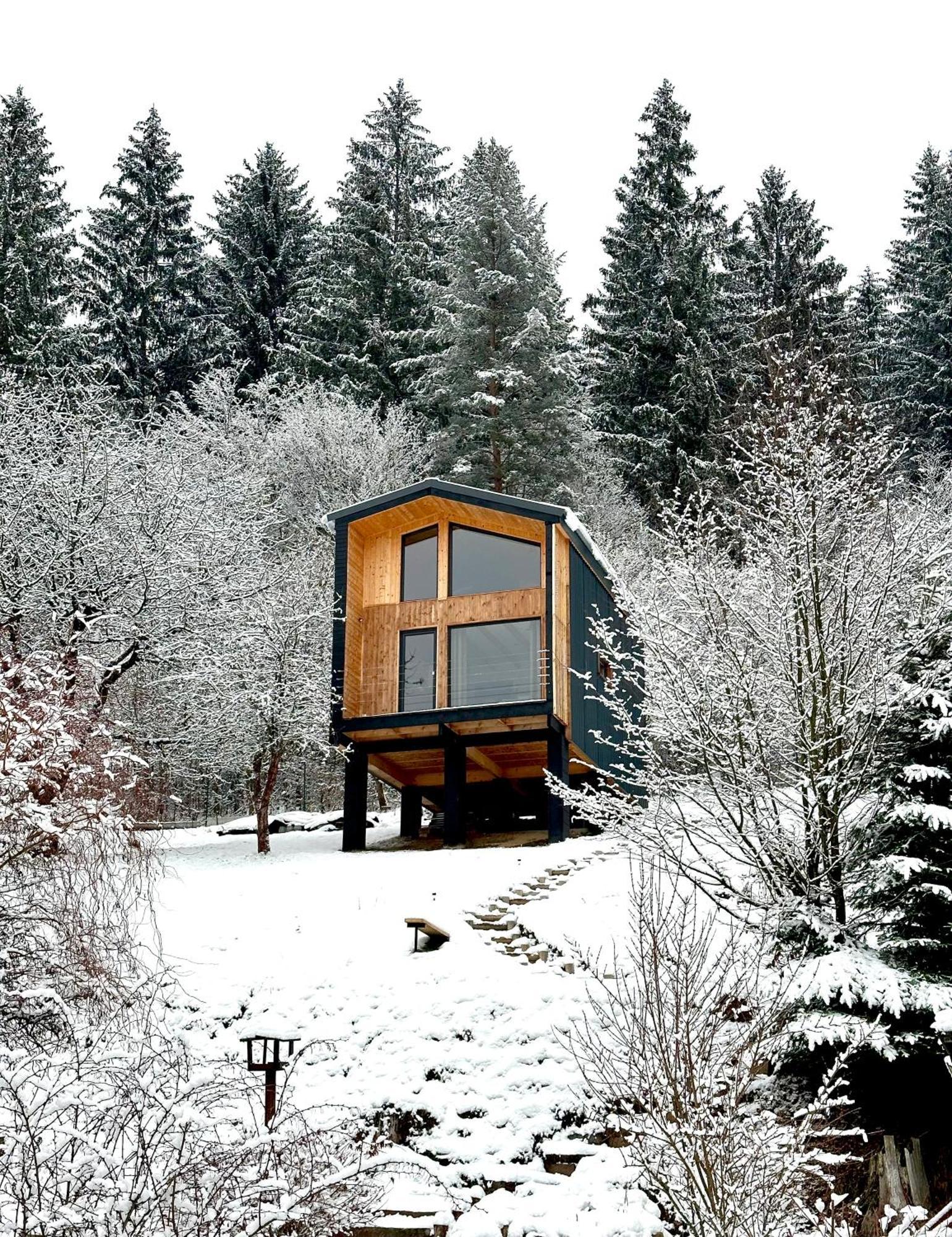 Panorama / Tinyhouse Villa Podbrezova Exterior foto